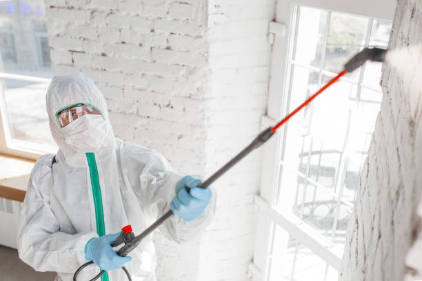 Best Industrial Mold Remediation  in Smiths Station, AL