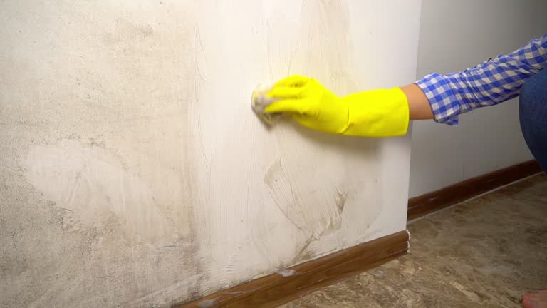Best Environmental Consulting for Mold Prevention  in Smiths Station, AL